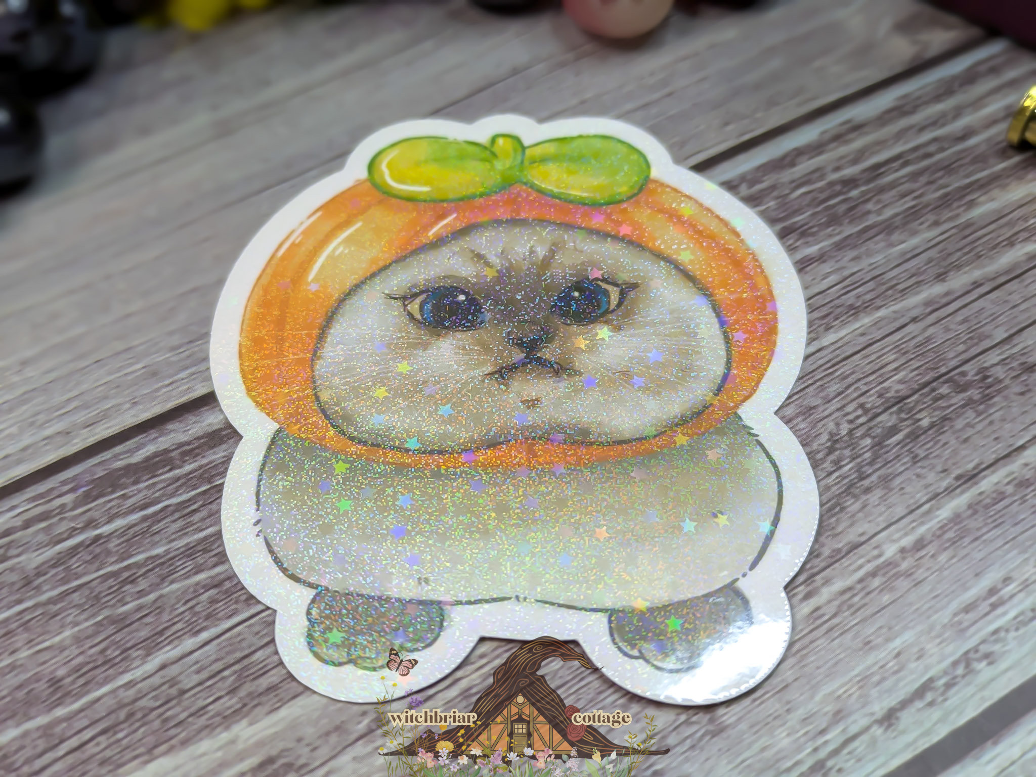 Derpy Pumpkin Cat Sticker - Image 5
