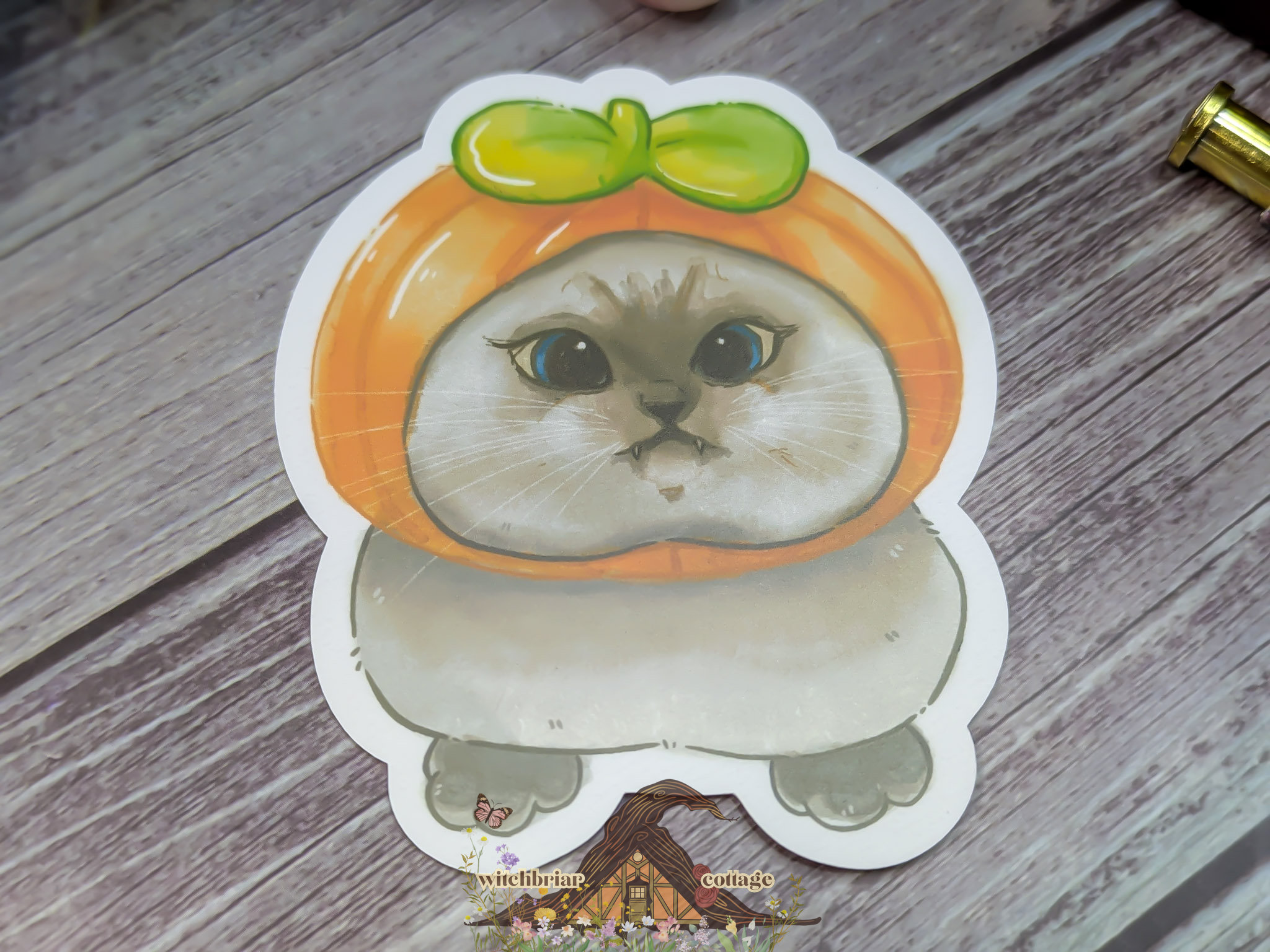 Derpy Pumpkin Cat Sticker - Image 7