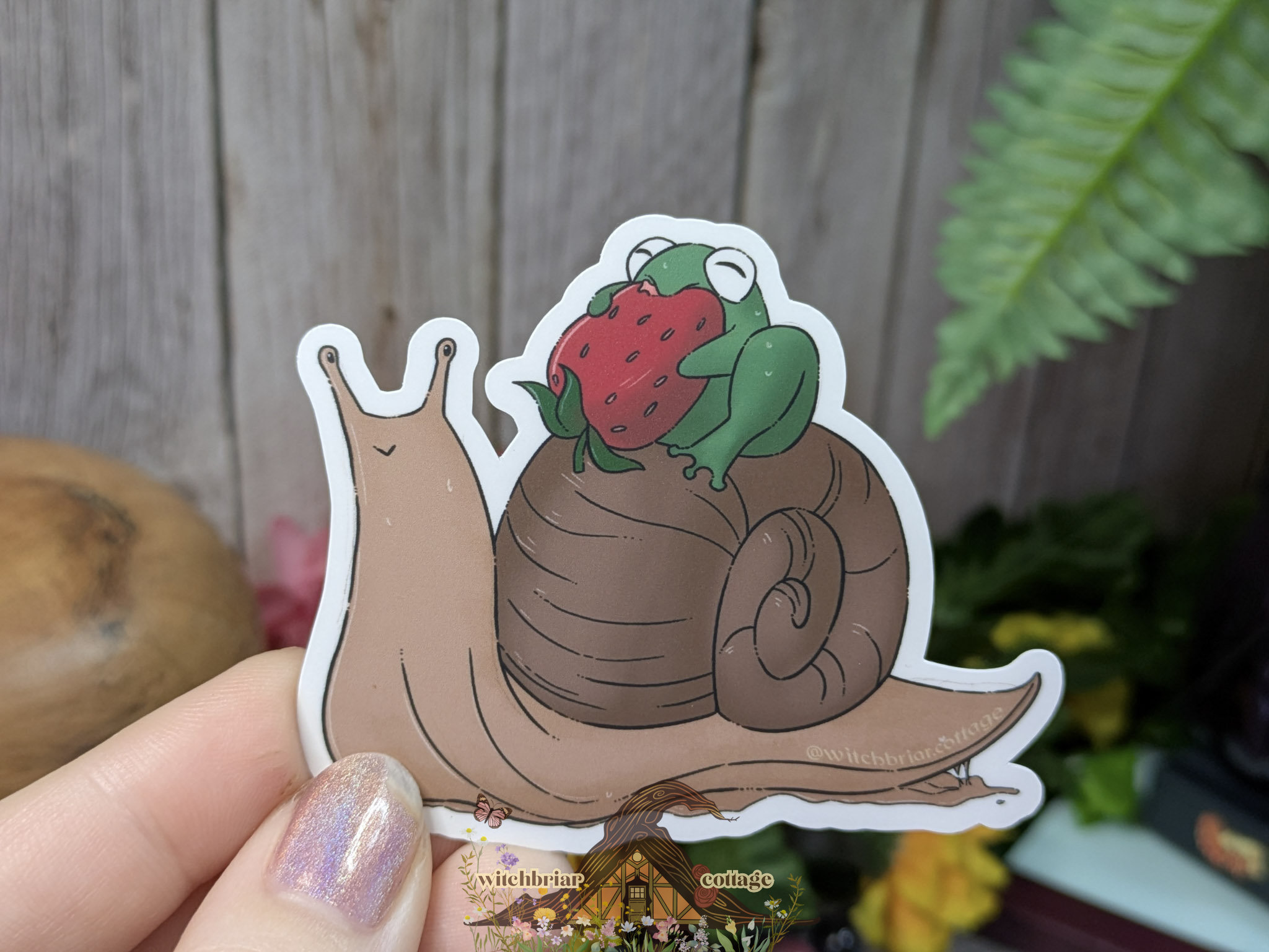 Frog Riding Snail Sticker - Image 2