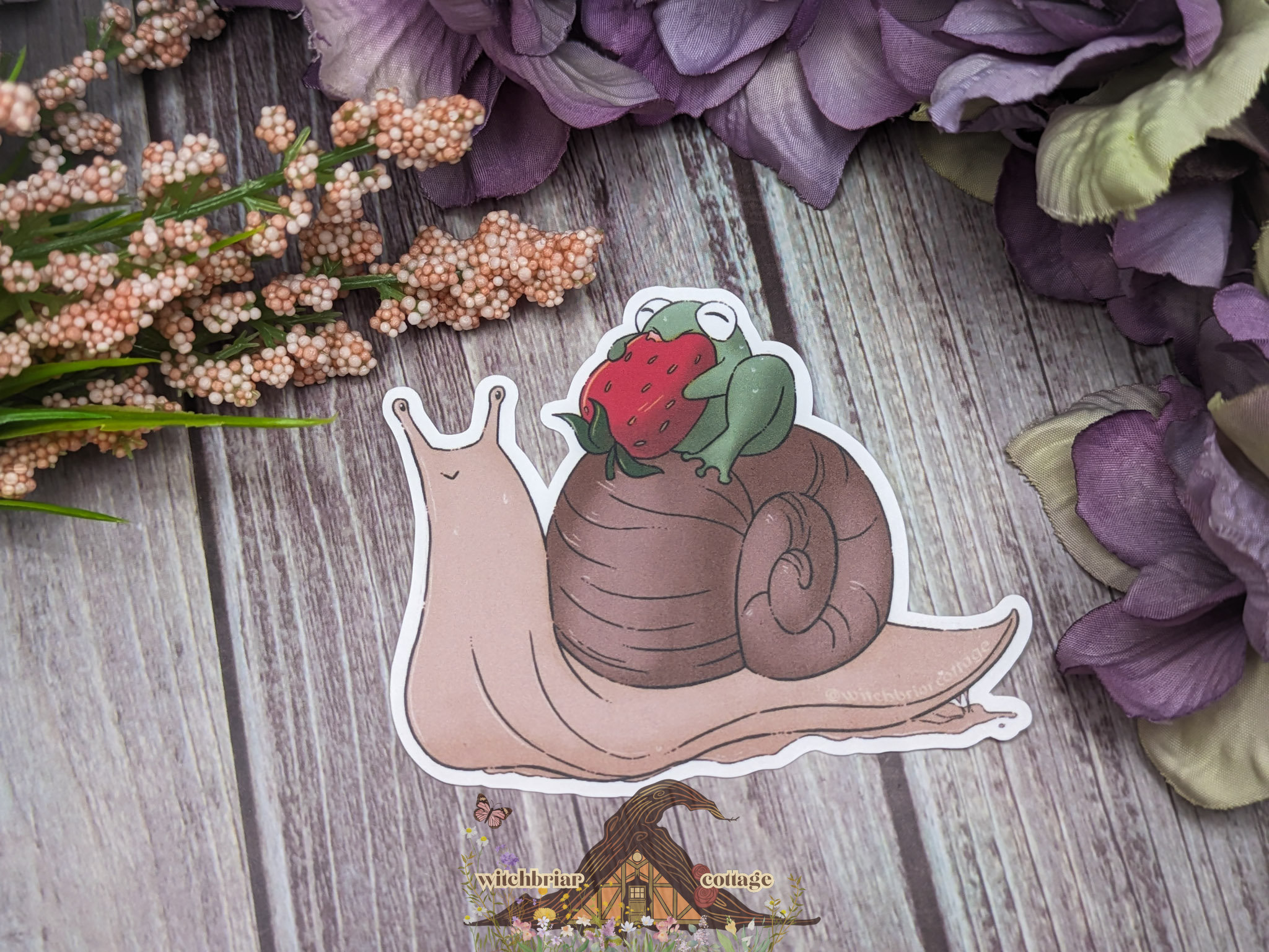 Frog Riding Snail Sticker - Image 6