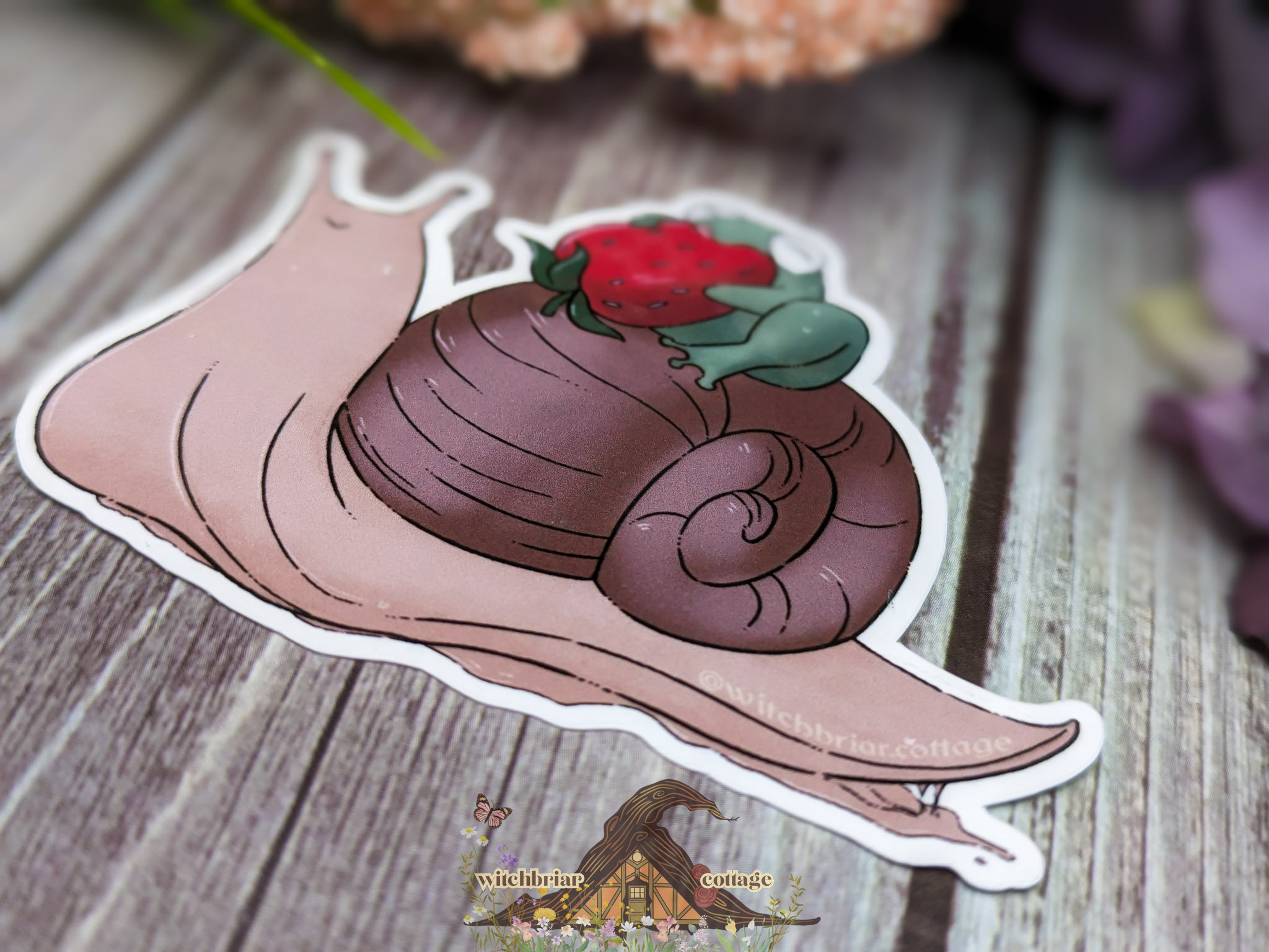 Frog Riding Snail Sticker - Image 11