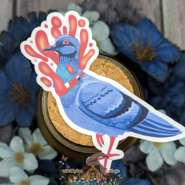 Pigeon Head Sticker