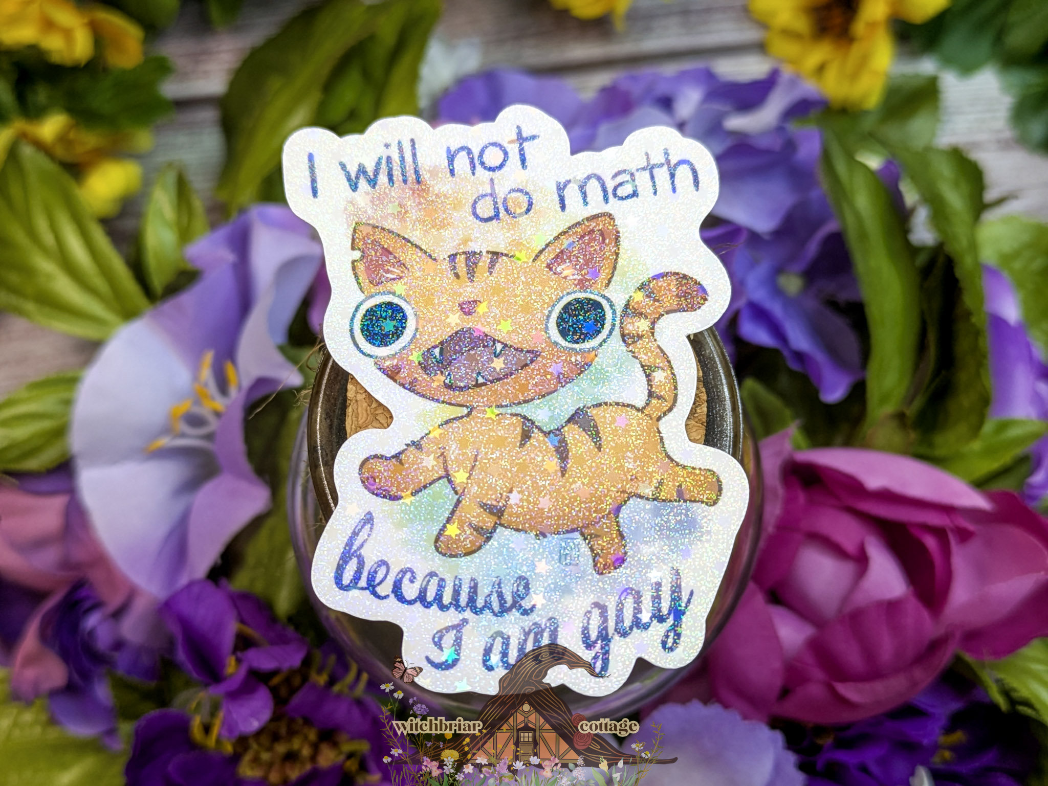 Will Not Do Math Gay Cat Sticker - Image 3
